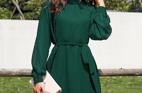 Damenkleid für Herbst 2025, lässig, Rundhalsausschnitt mit Gürtel, Schweizer Punkte, lange Ärmel, hohe Taille, lässig, ges…